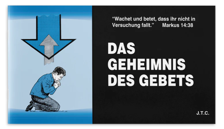 Vorschaubild 1